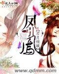 《凤引鳯》