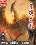 《金翅大鹏》