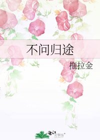 不问归途