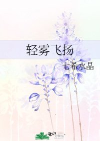 《轻雾飞扬》